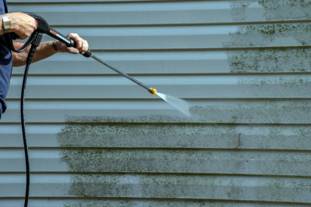 Best Rust Removal  in Williamsport, IN